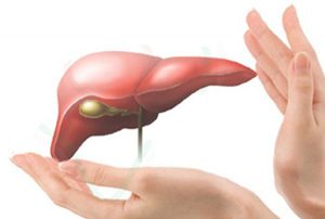 Sản phẩm giúp bảo vệ gan của bạn.