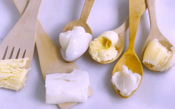 Hạn chế mỡ động vật để ngăn ngừa bệnh.